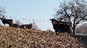 2019-04-04 Vycházka do přírody